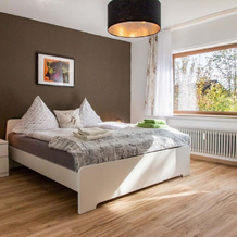 Haus Anna Cozy Studio, Friedenweiler — photo 4
