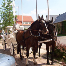 Center Hotel Alte Spinnerei, Burgstaedt — photo 5