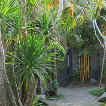 Bali Vidi Villas, Сукавати — фото 3