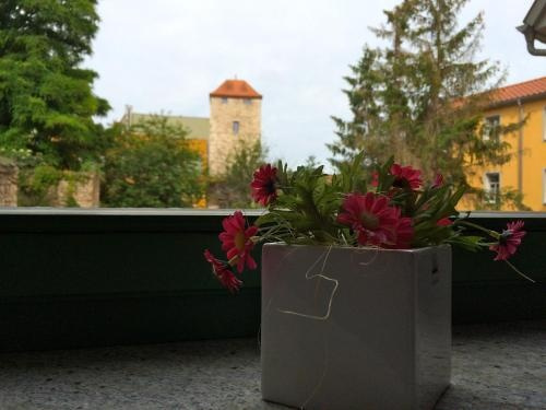 Ferienwohnungen Am Butterturm, Bad Langensalza — photo 1
