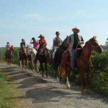 Agriturismo Pian dei Pini, 马利亚诺因托斯卡纳 — 照片 5