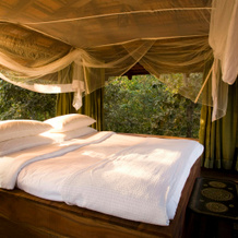 Baghvan Pench National Park - A Taj Safari Lodge, Turiya — photo 2