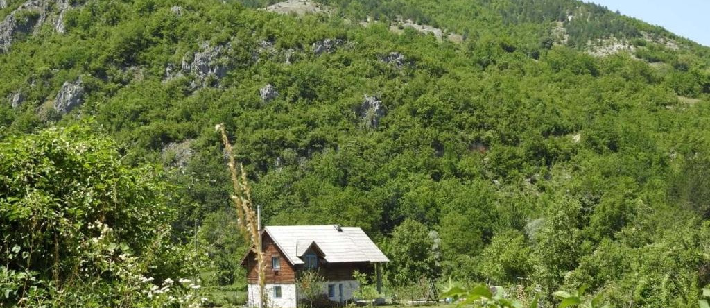 Exo Log Cottage, Коньиц — фото 1