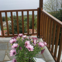 Om Living Pelion, 穆雷西 — 照片 2