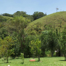 Sítio Recanto Do Araçá, Резенди — фото 3