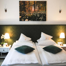 Boutique Hotel Goldenes Lamm, Villach — photo 4