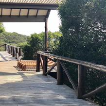 Topo Das Arvores, Ponta do Ouro — photo 3