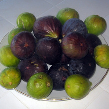 Agriturismo Torre Cocciani, 圣索菲亚德皮罗 — 照片 4