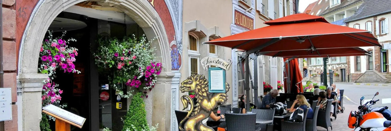 SPA Hôtel Au Lion D'Or, 拉佩蒂特皮埃尔 — 照片 1
