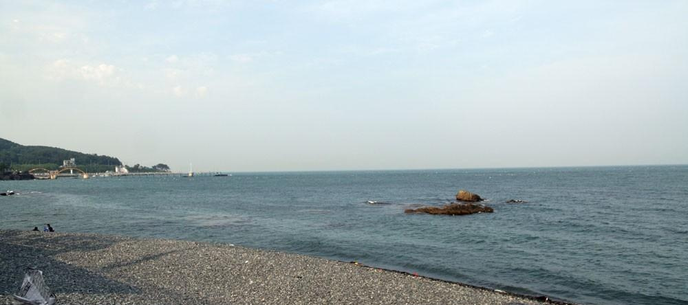Dancing Whale Pension, Ulsan — photo 1