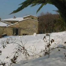 Historic Cottage In Tuscany, Руфина — фото 5