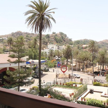 Hotel Mount Regency, 阿布山 — 照片 3