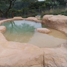 The Anchorage Krantzkloof, 克卢夫 — 照片 5