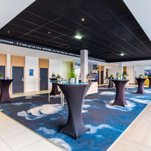 Radisson Blu Hotel Toulouse Airport, 布拉尼亚克 — 照片 2
