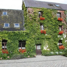 Le Moulin de Tigny, Tigny-Noyelle — photo 5