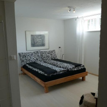 Swiss Borzoi House, 贝尔里夫 — 照片 3