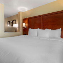 Comfort Inn & Suites Euless Dfw West, Юлисс — фото 5