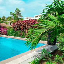Lxry Apartment Jan Sofat With Private Pool, Виллемстад — фото 5