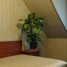Hotel Basztowy, Сандомир — фото 5