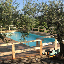 Villa In Alia With Pool & Olive Views, Алия — фото 3