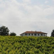 Agriturismo Ai Piacentini, 圣斯特凡诺贝尔博 — 照片 5