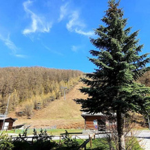 Maison Des Skieur- Ski Out, Боргата — фото 5