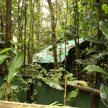 Daintree Crocodylus Village, Cow Bay — photo 2