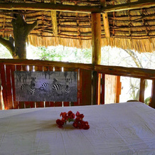 Nyota Mara Lodge, 马拉里安塔 — 照片 5