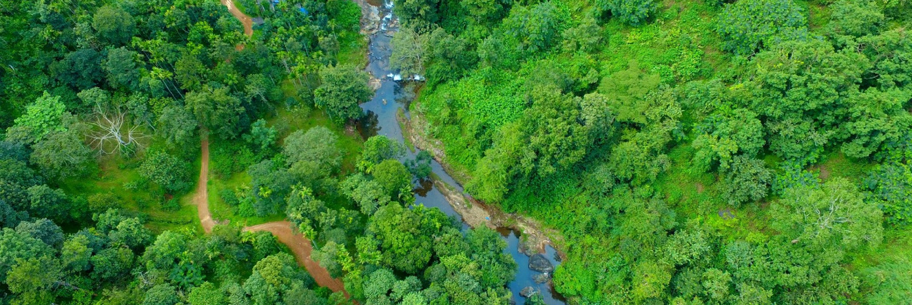 Ranches Jungle Beats, Nilambur — photo 1