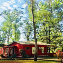 The Jungle Resort Amba, 安巴 — 照片 2