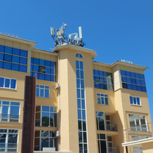 Yanais, Sochi — photo 5