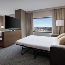 Hyatt Regency Dulles International Airport, Herndon — photo 5