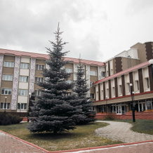 Борус, Черёмушки — фото 4