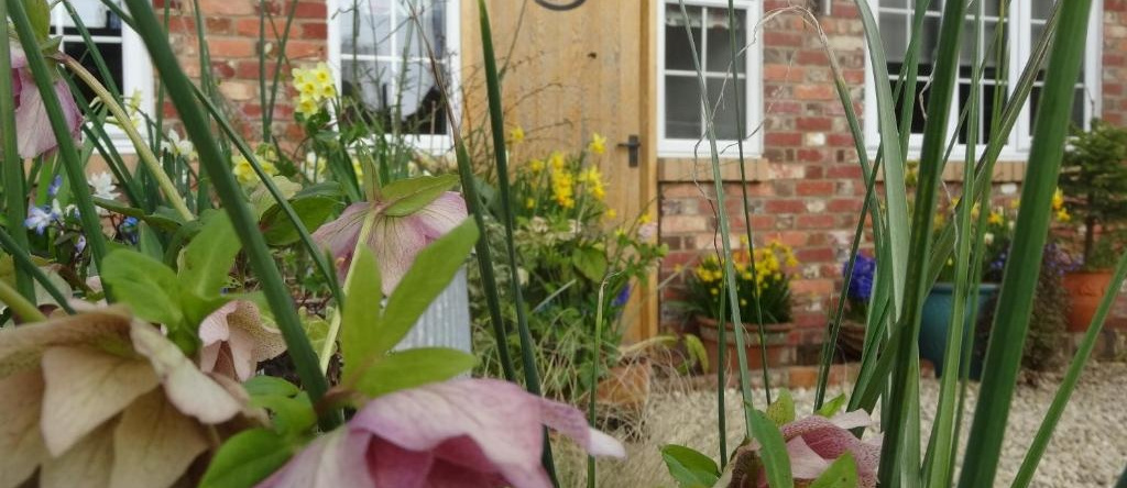 The Byre - 2 bedroom cottage, 珀西 — 照片 1