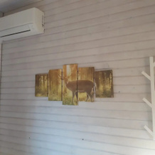 Comfort Sauna 4p in Uelsen, 格特洛 — 照片 4
