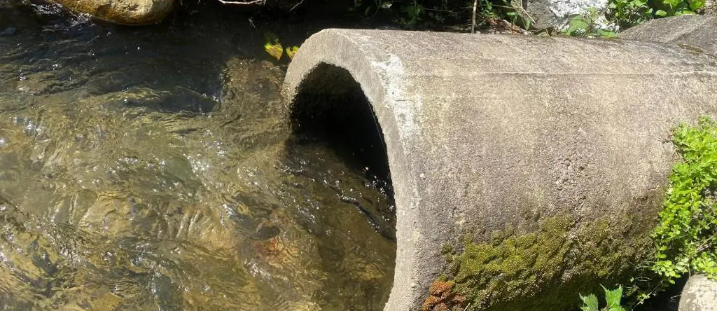 Takeyashiki たけやしき, Shiroishi — photo 1