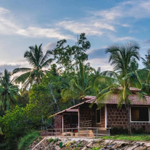 Dandeli Jungle Villa, Badgund — photo 2