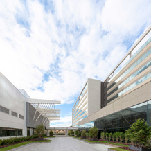Royal Palm Tower Anhanguera, 坎皮纳斯 — 照片 3