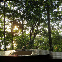 Tiskita Jungle Lodge, Punta Banco — photo 3