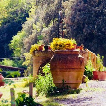 Agriturismo Tre Madonne, Монтериджони — фото 5