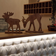 Villa Ciardi Boutique Hotel, 罗阿纳 — 照片 2