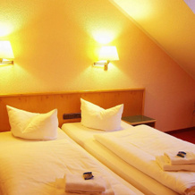 Hotel Goldener Fasan, 奥拉宁鲍姆-沃利茨 — 照片 5
