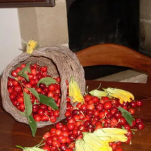 Tenuta degli Asini, Ruffano — photo 4