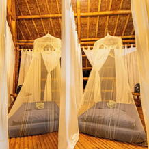 Water To Forest Ecolodge, 洛博克 — 照片 3