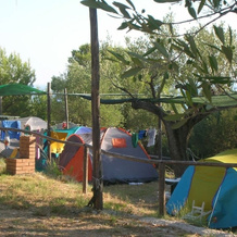 Porticello Village - Campsite, Марина-ди-Камерота — фото 3