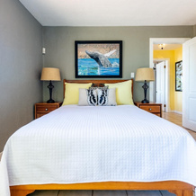 Luxury Flamingo home with ocean view sleeps 10 - walking distance from beach, 火烈鸟海滩 — 照片 4