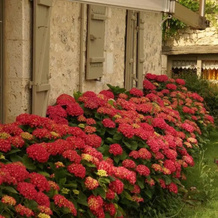 B&B Au Merlot, Beaumont-du-Perigord — photo 2