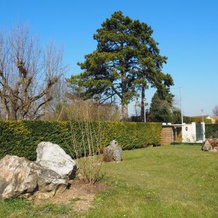 Paris Côté Jardin, Шалифер — фото 2