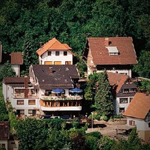 Hotel-Restaurant Bergfriedel, 比勒塔尔 — 照片 4