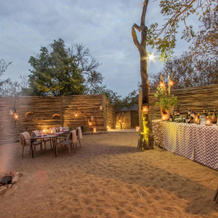 Thornybush Simbambilli Lodge, Kruger National Park — photo 5